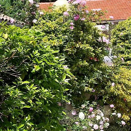 La Bienvenue Hotel