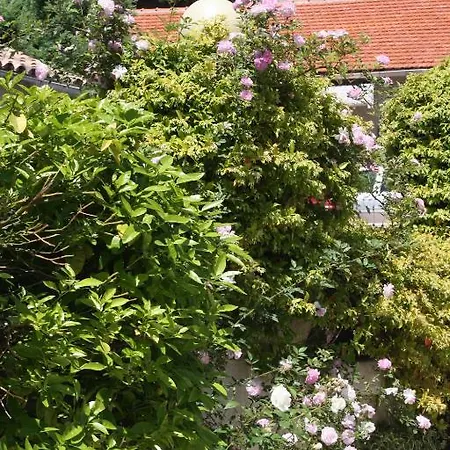 Hotel La Bienvenue La Croix-Valmer