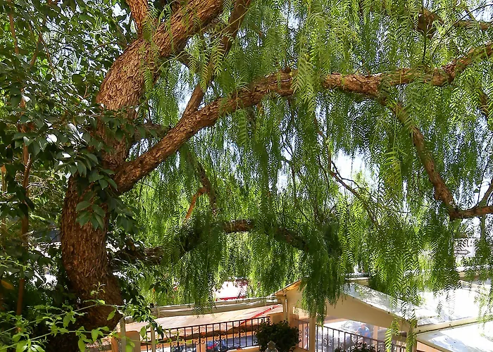 La Bienvenue Hotel 3*